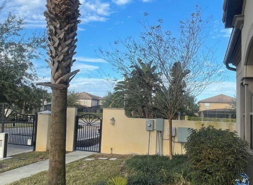 https://www.nicepalms.com/Nice Palms Villa- Group