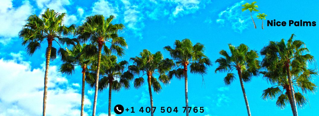 The Benefits of a Villa Rental for Extended Florida Stays